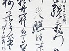 胡秋萍诗稿书法作品