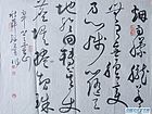 胡秋萍诗稿书法作品
