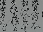 临徐渭《白燕》诗四首其四