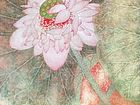 画家吴惠敏工笔花鸟作品4