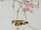 画家吴惠敏工笔花鸟作品6