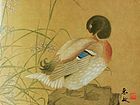 画家吴惠敏工笔花鸟作品9