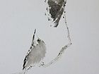 国画家吴惠敏花鸟作品
