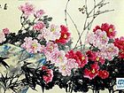 春光无限
