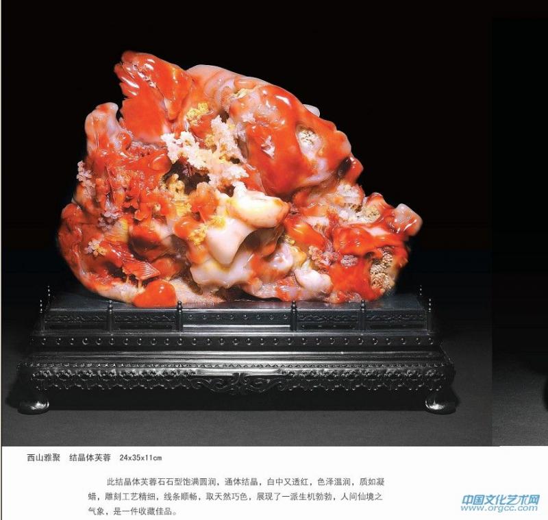 许志杨