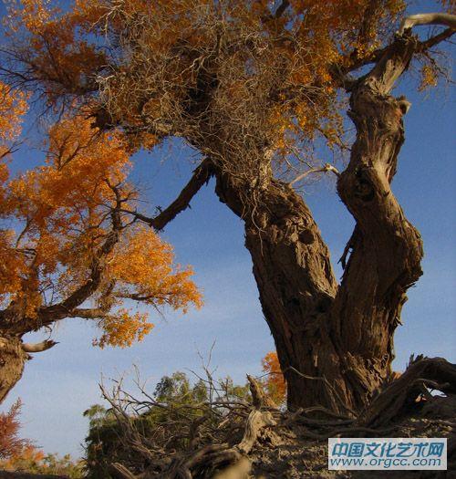 2006丝路申遗文化采风