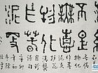 落红不是无情