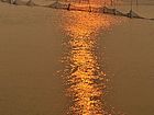 东平湖风光