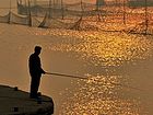 东平湖风光