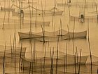 东平湖风光