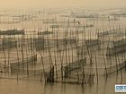 东平湖风光