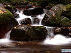金秋光雾山