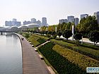 郑东新貌
