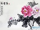 国画家王玉凤牡丹作品《花开富贵》