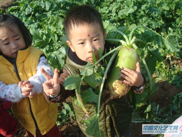 耶，我的萝卜大吧