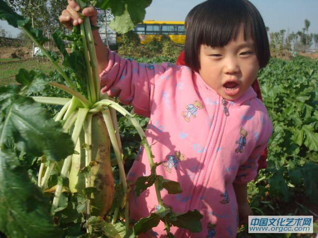 嘿，我能把萝卜掂起来