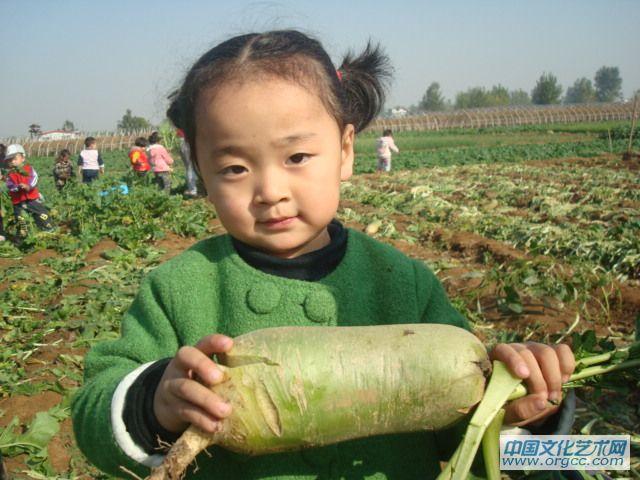 我的萝卜也很大