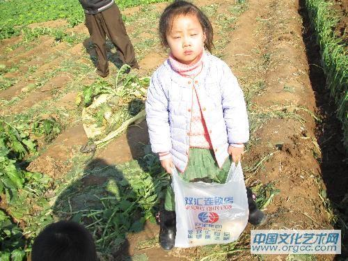 把萝卜装进袋子里