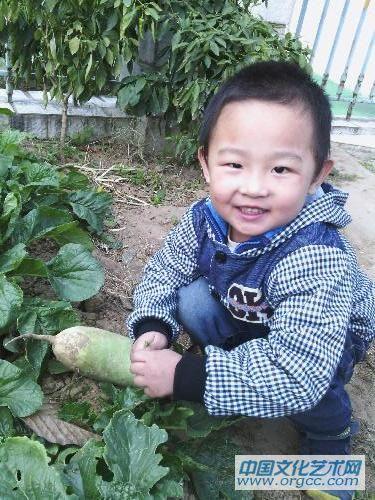 这是我拔的萝卜