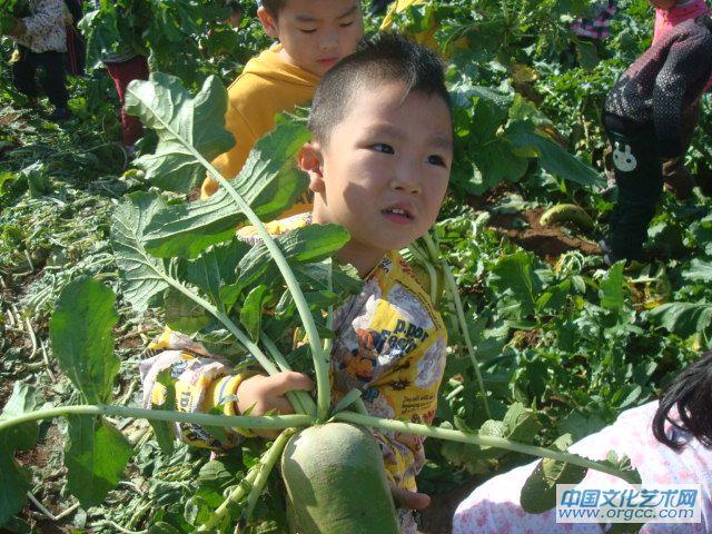 我能掂动我的萝卜