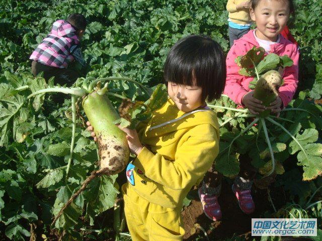 留影做纪念