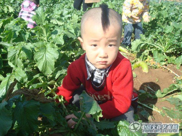 开始拔了