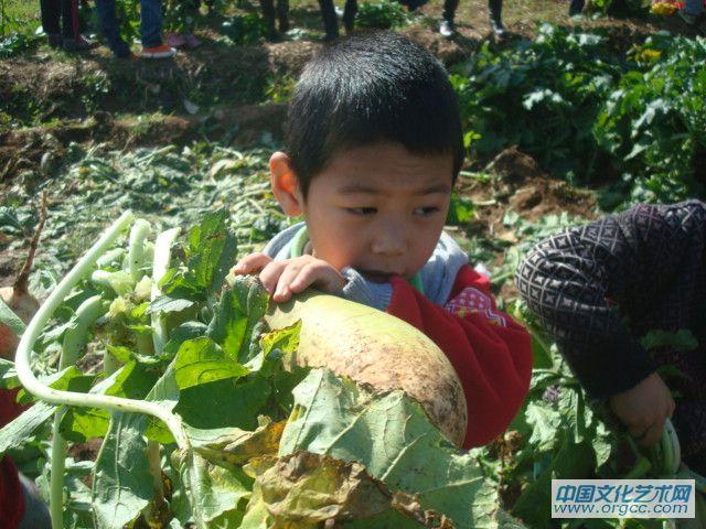 我的大萝卜