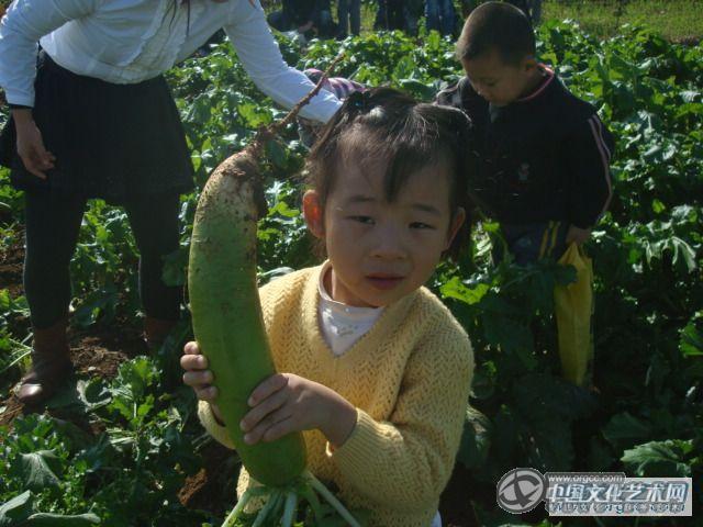 哈哈大萝卜