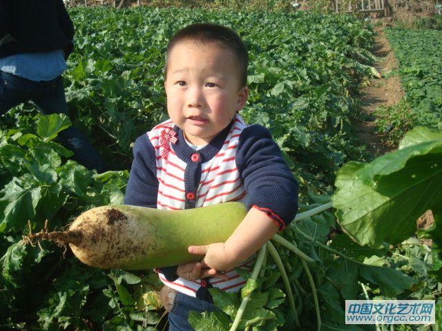 哈哈，大吧，我拔的