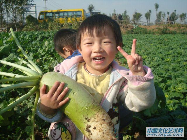 耶，我的萝卜大吧