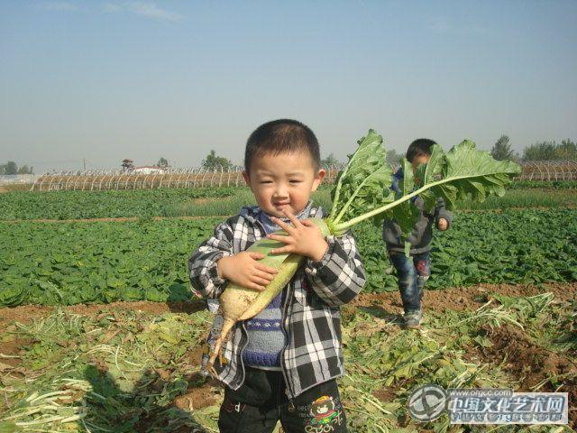 哈哈大萝卜