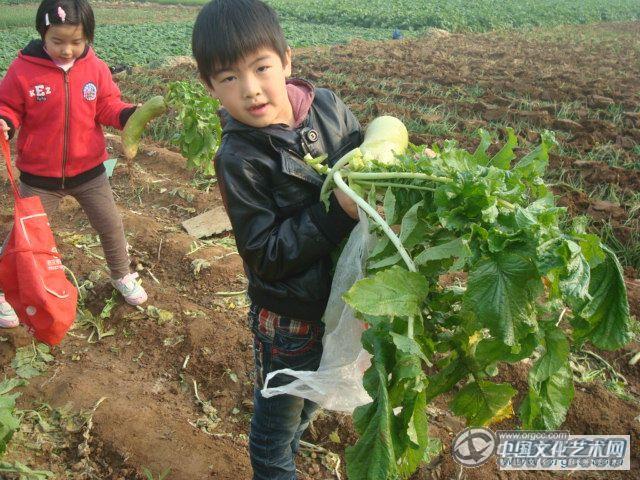我快拿不动了