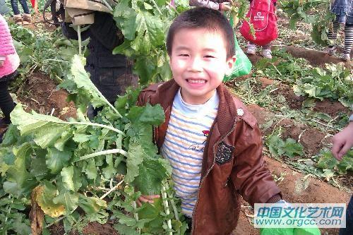 我的萝卜大吧