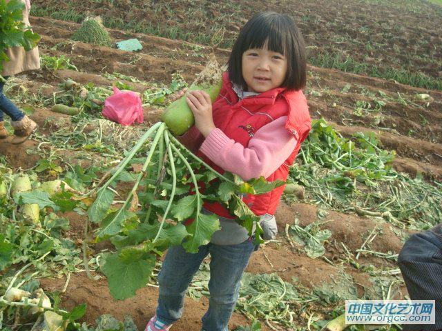 我的萝卜抱起来