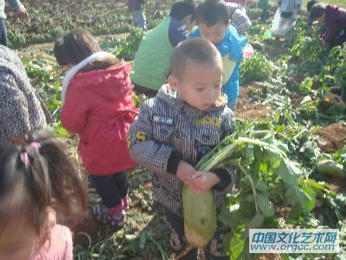 还有好多大的，我得赶紧拔