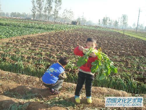 哈哈举起我拔得大萝卜