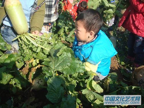 多拔点带回家