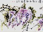 春晖烂漫