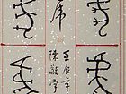 金文虎