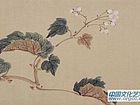 王一花鸟作品
