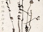 秋菊图