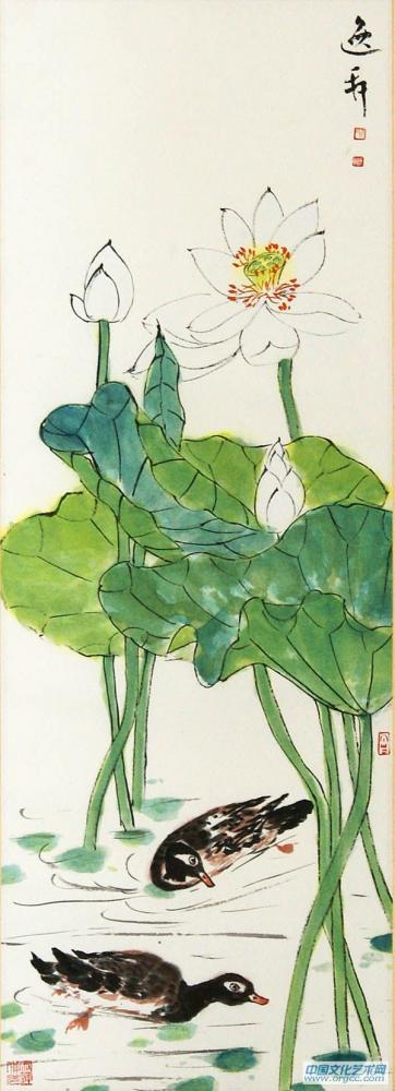 荷花5