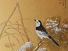 画家郭伊滨花鸟作品《雪落溪塘留余香》