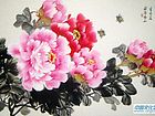 春晖