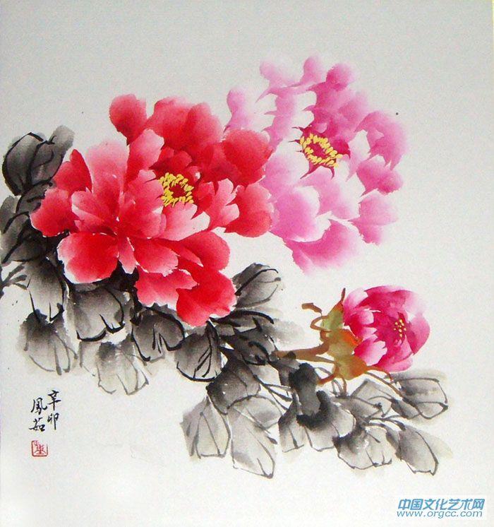 牡丹