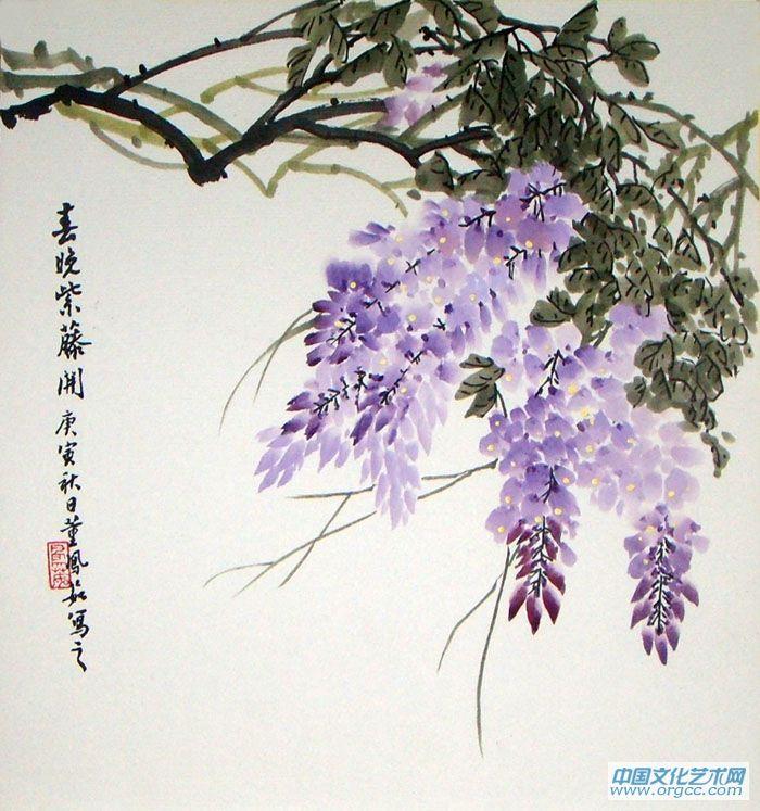 春晚紫藤开