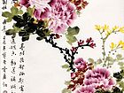 牡丹