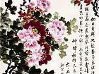 牡丹