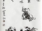 蟹