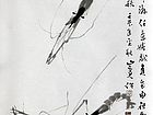 虾